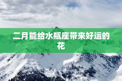 二月能给水瓶座带来好运的花