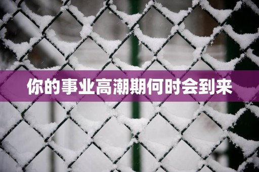 你的事业高潮期何时会到来