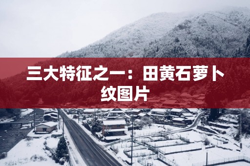 三大特征之一：田黄石萝卜纹图片
