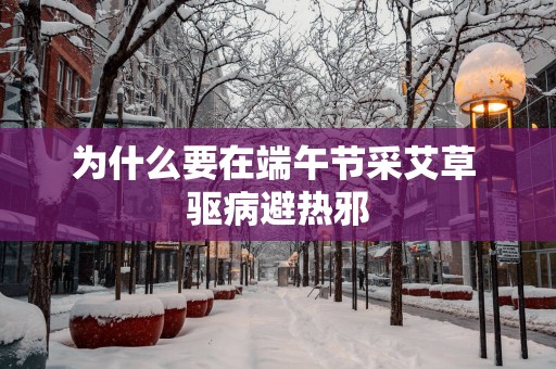 为什么要在端午节采艾草 驱病避热邪
