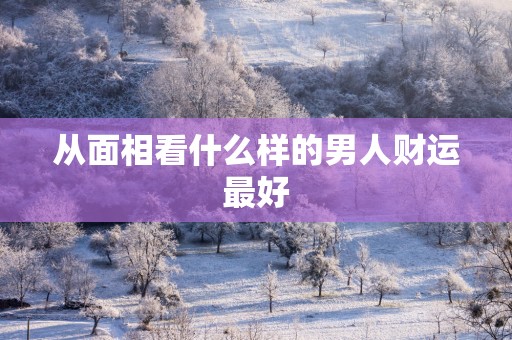 从面相看什么样的男人财运最好