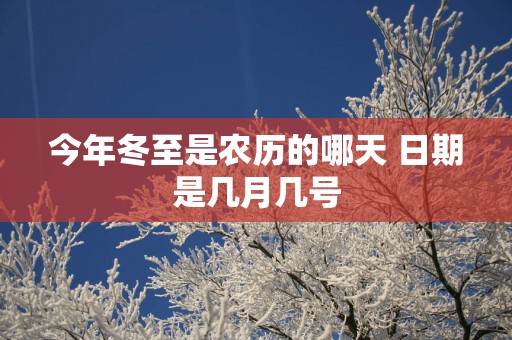 今年冬至是农历的哪天 日期是几月几号