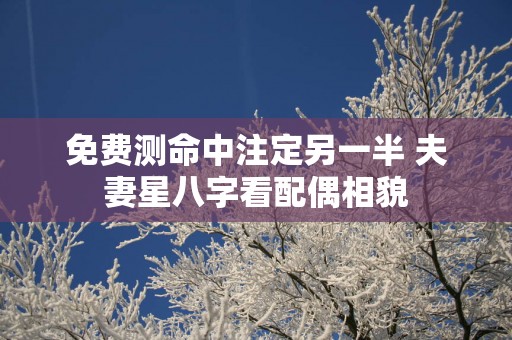 免费测命中注定另一半 夫妻星八字看配偶相貌