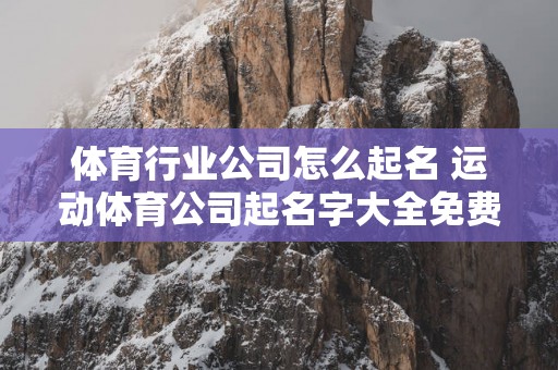 体育行业公司怎么起名 运动体育公司起名字大全免费
