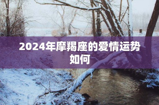 2025年摩羯座的爱情运势如何