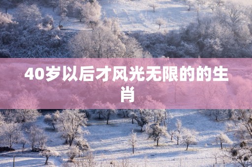 40岁以后才风光无限的的生肖