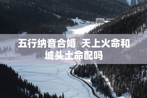 五行纳音合婚  天上火命和城头土命配吗