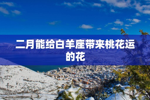 二月能给白羊座带来桃花运的花