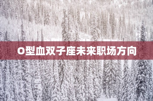 O型血双子座未来职场方向