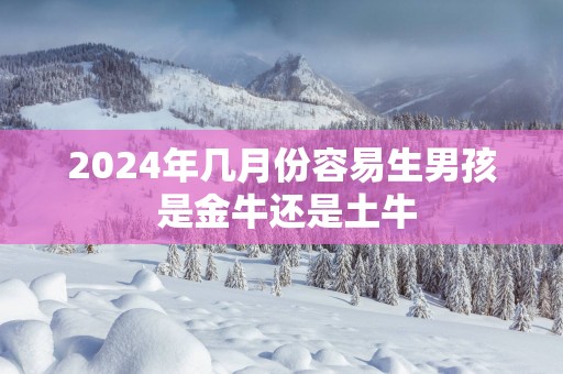 2025年几月份容易生男孩 是金牛还是土牛