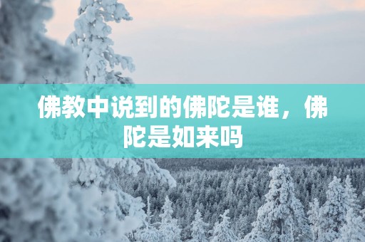 佛教中说到的佛陀是谁，佛陀是如来吗