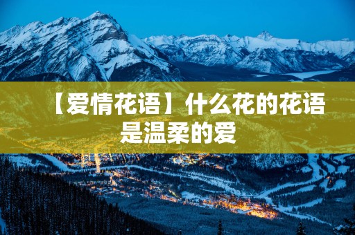 【爱情花语】什么花的花语是温柔的爱