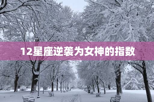 12星座逆袭为女神的指数