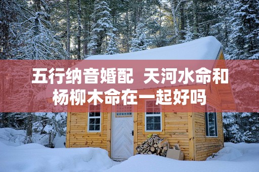 五行纳音婚配  天河水命和杨柳木命在一起好吗