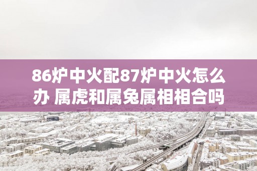 86炉中火配87炉中火怎么办 属虎和属兔属相相合吗？