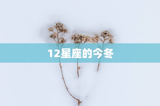 12星座的今冬