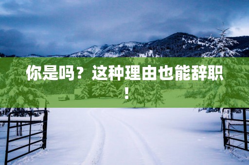 你是吗？这种理由也能辞职！