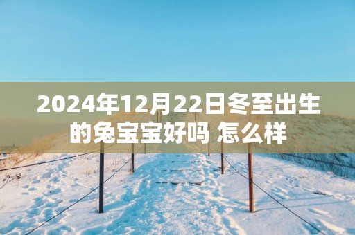 2025年12月22日冬至出生的兔宝宝好吗 怎么样