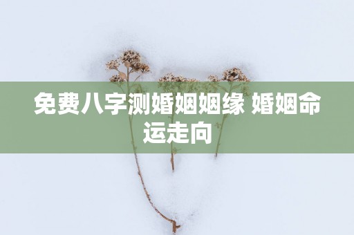 免费八字测婚姻姻缘 婚姻命运走向