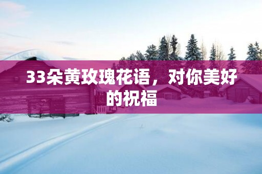 33朵黄玫瑰花语，对你美好的祝福