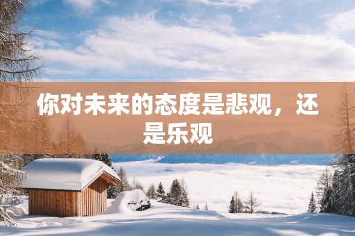 你对未来的态度是悲观，还是乐观