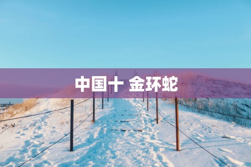 中国十 金环蛇