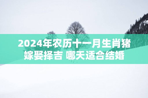 2024年农历十一月生肖猪嫁娶择吉 哪天适合结婚