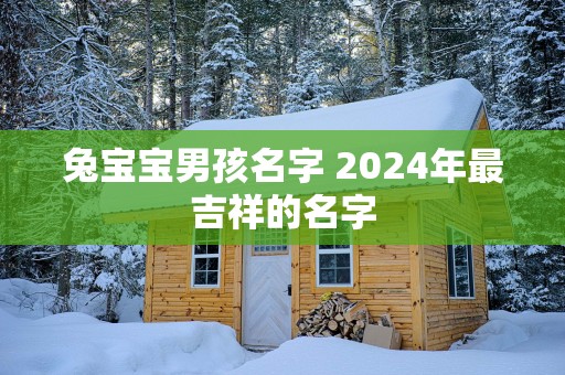 兔宝宝男孩名字 2025年最吉祥的名字