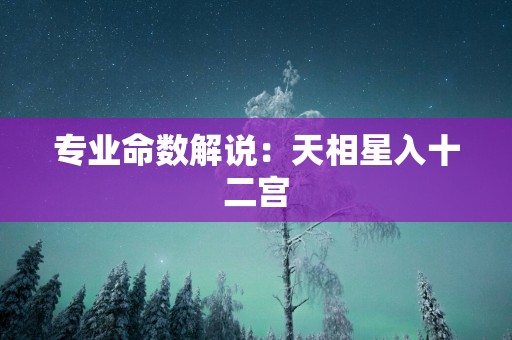 专业命数解说：天相星入十二宫