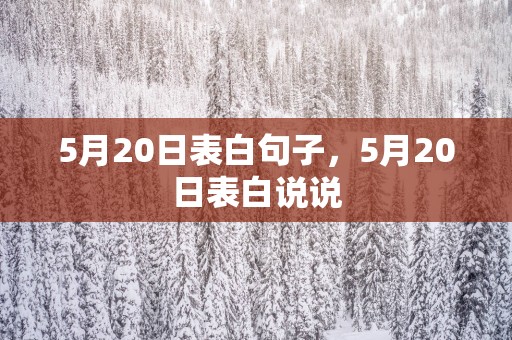 5月20日表白句子，5月20日表白说说