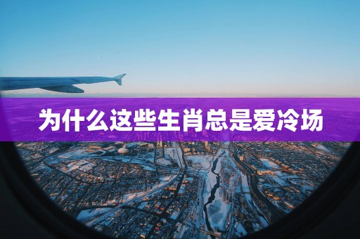为什么这些生肖总是爱冷场