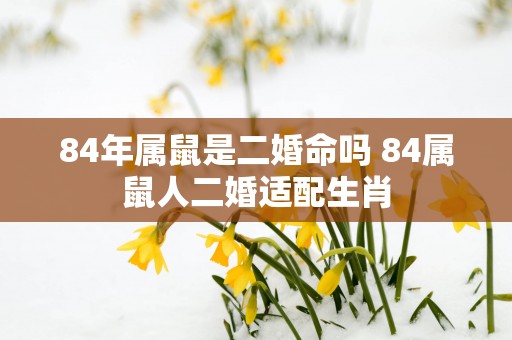 84年属鼠是二婚命吗 84属鼠人二婚适配生肖