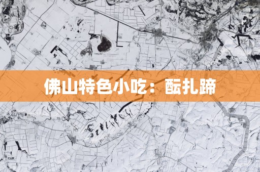 佛山特色小吃：酝扎蹄