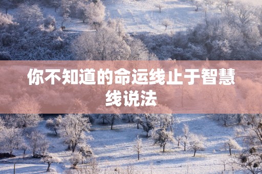 你不知道的命运线止于智慧线说法 你不知道的命运线止于智慧线说法