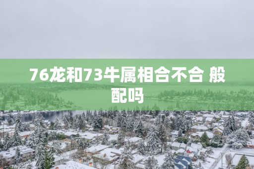 76龙和73牛属相合不合 般配吗