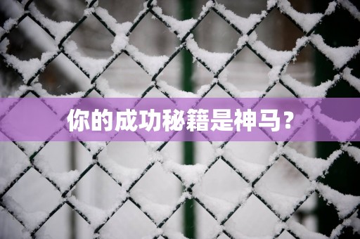 你的成功秘籍是神马？