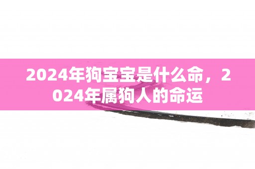 2025年狗宝宝是什么命，2025年属狗人的命运