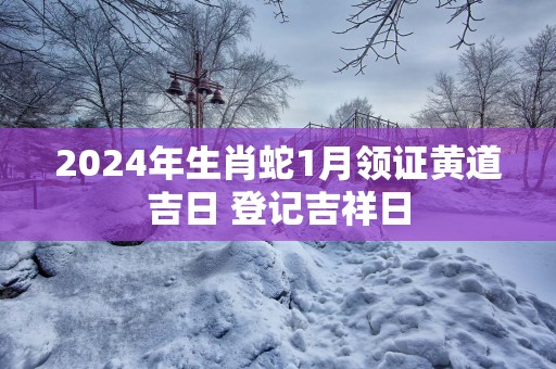 2025年生肖蛇1月领证黄道吉日 登记吉祥日