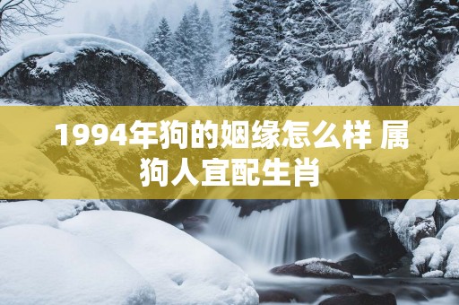 1994年狗的姻缘怎么样 属狗人宜配生肖
