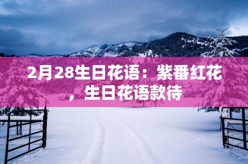2月28生日花语：紫番红花，生日花语款待