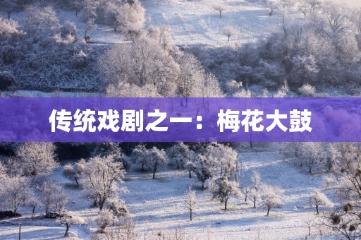 传统戏剧之一：梅花大鼓