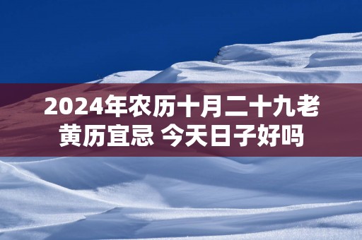2025年农历十月二十九老黄历宜忌 今天日子好吗