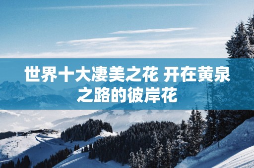 世界十大凄美之花 开在黄泉之路的彼岸花