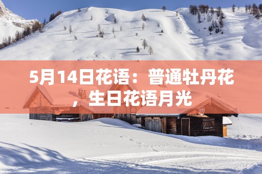 5月14日花语：普通牡丹花，生日花语月光