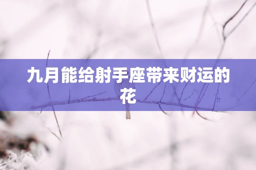 九月能给射手座带来财运的花