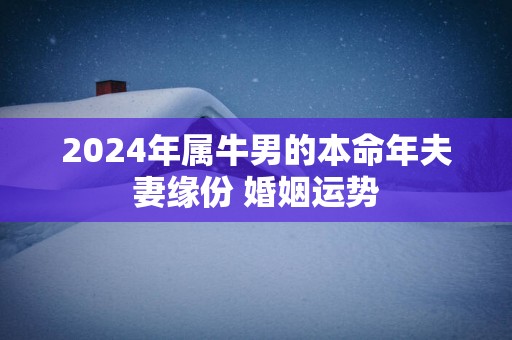 2025年属牛男的本命年夫妻缘份 婚姻运势