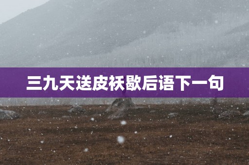 三九天送皮袄歇后语下一句