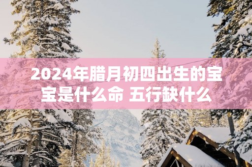 2025年腊月初四出生的宝宝是什么命 五行缺什么