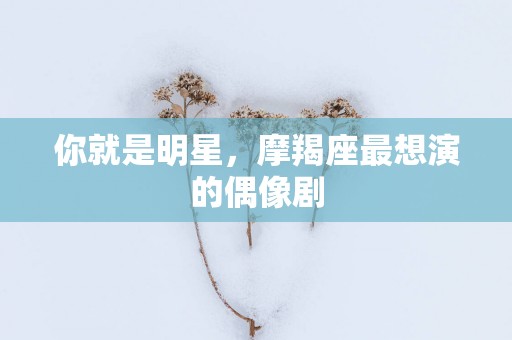 你就是明星，摩羯座最想演的偶像剧
