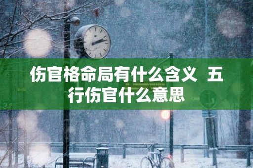 伤官格命局有什么含义  五行伤官什么意思